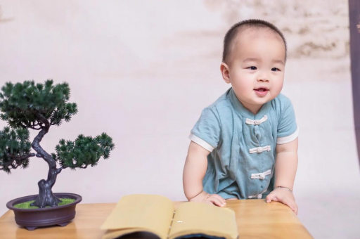 供卵中介机构有哪些可爱的企鹅宝宝